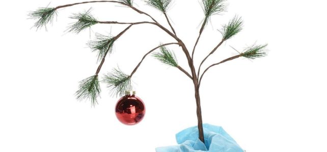 Tips to help choose the correct Christmas tree.